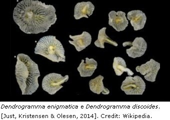 Genere Dendrogramma